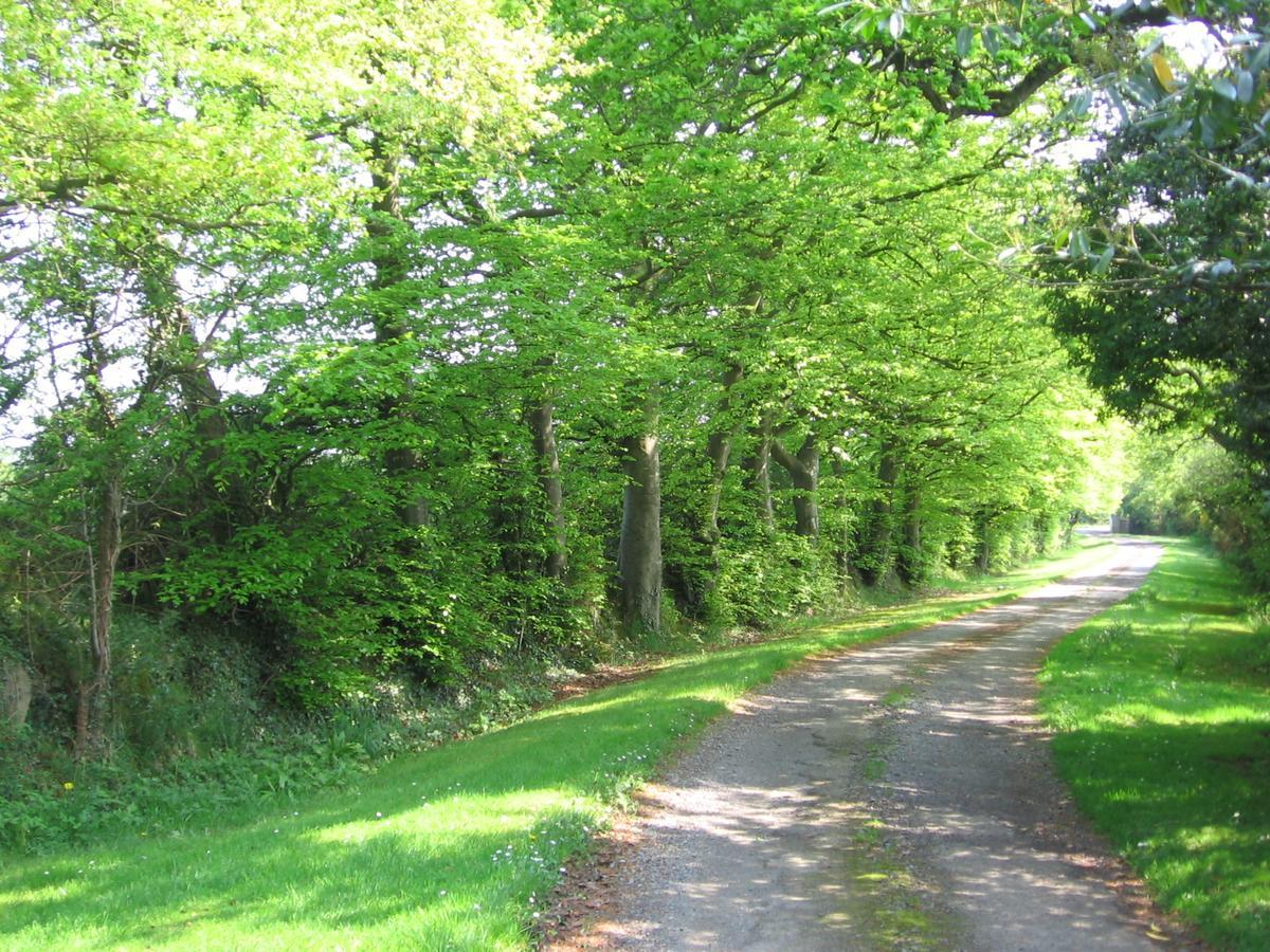 Ballinclea House Bed And Breakfast Brittas Bay Exteriör bild